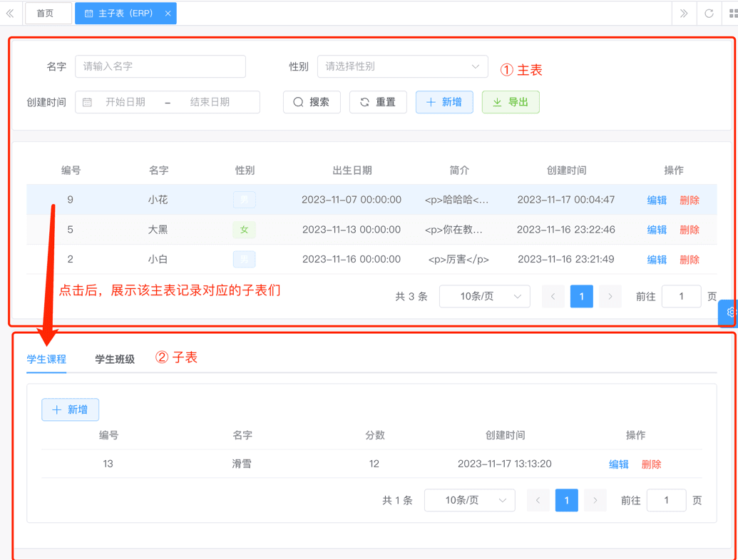 ERP 模式